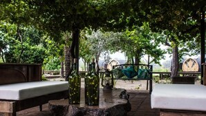 An outdoor seating area with wooden benches and tables, surrounded by trees. - Colchagua Tiny Lodge (Santa Cruz)