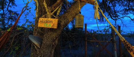 Un roure amb un cartell de fusta que diu "Wisdom Oak" i una campana de metall penjant-ne.