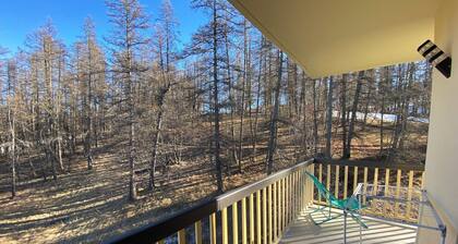 06CO : bel appartement au pied des pistes avec balcon