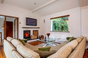 Televisión, chimenea, libros