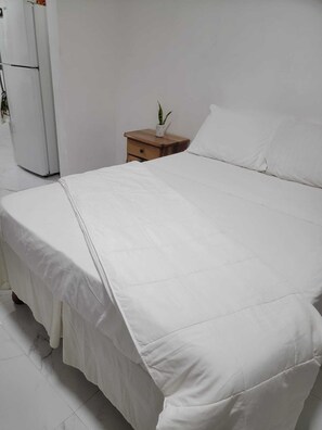 1 chambre, fer et planche à repasser, Wi-Fi