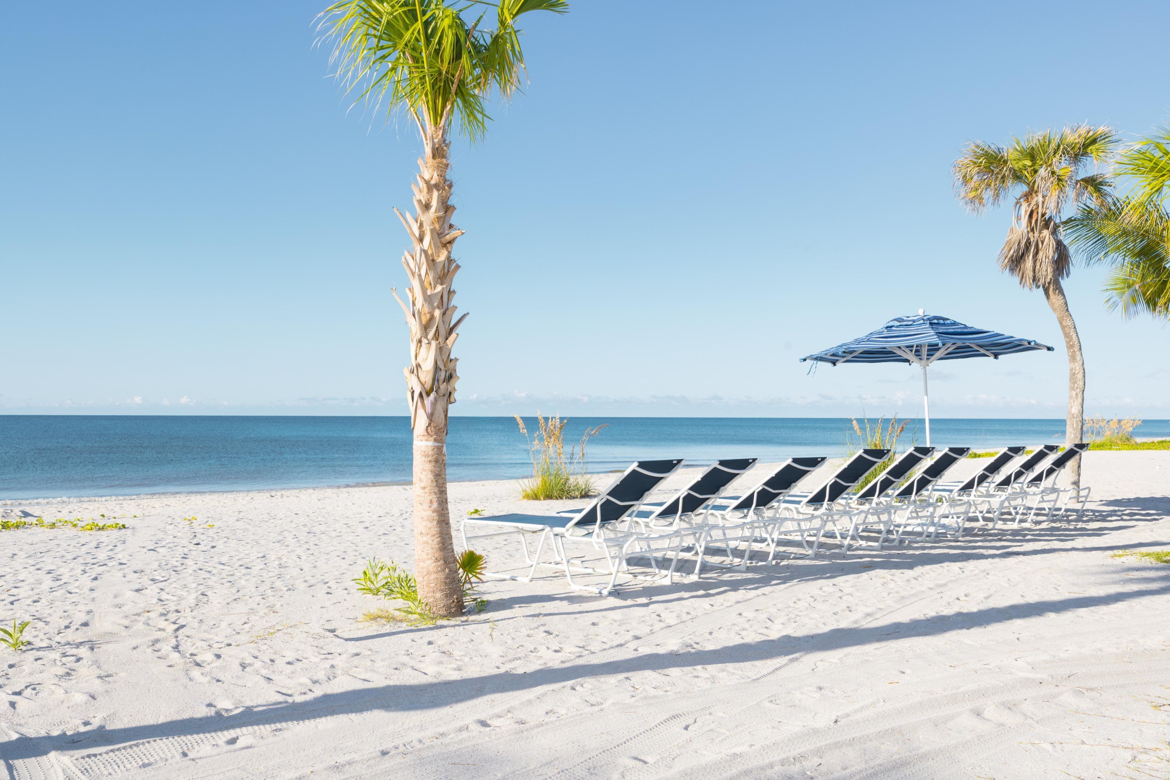 A beach with white sand, palm trees, and a row of white lounge chairs under a striped umbrella.
