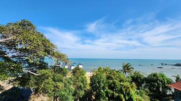 Beach/ocean view