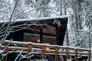 A cabin with a dark exterior, surrounded by snow-covered trees.