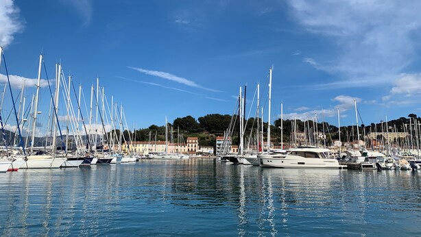Un port de plaisance où sont amarrés de nombreux voiliers, avec une eau calme et des bâtiments en arrière-plan.