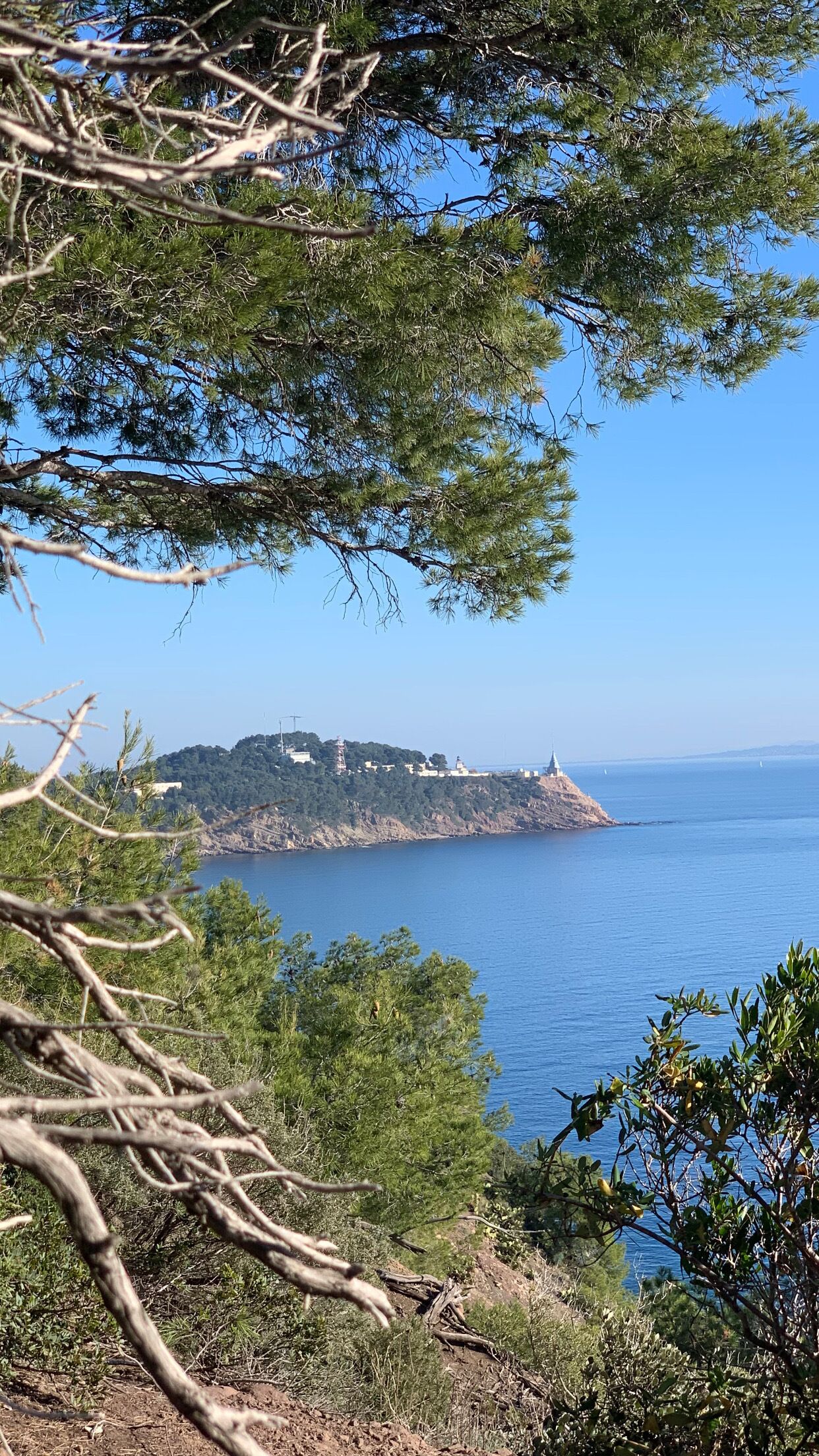 Un paysage côtier avec une colline sur laquelle se trouvent des bâtiments et un phare, le tout entouré d’arbres et surplombé d’un ciel bleu clair.