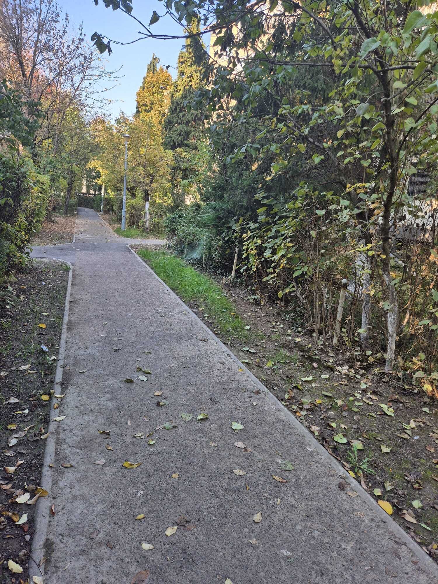 En asfalterad gångväg, omgiven av träd och buskar, som leder in i ett skogsområde.