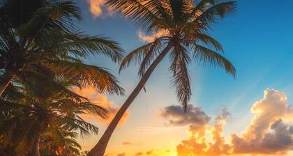 KANALU BEACH STUDIO