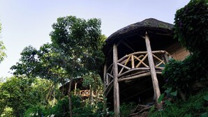 Une construction rustique en bois, dotée d’un toit de chaume, entourée d’une végétation luxuriante et d’arbres.