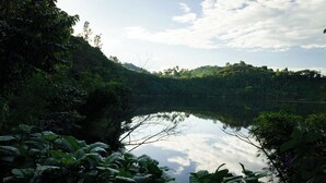 Un lac paisible, entouré d’une végétation luxuriante et de collines.
