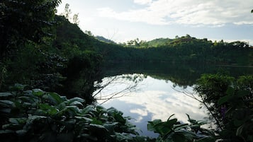 Ngoại thất