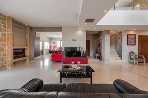 TV, fireplace, books