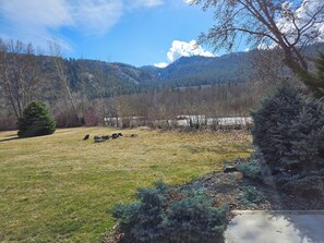Property grounds - Cozy 4-bedroom cabin in enjoyable Naches nestled near Mt. Rainier National Park. (Naches)