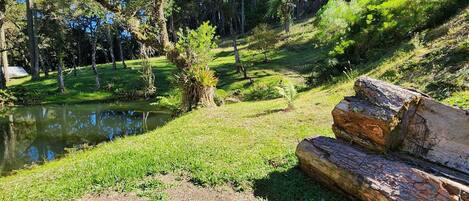 Área da propriedade