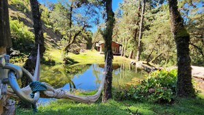 Una hamaca atada entre árboles en un área verde y exuberante, con un estanque y un edificio pequeño al fondo.