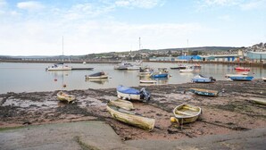 A harbor with boats, a bridge, and a town in the background.