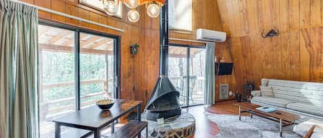 Televisión, chimenea y libros