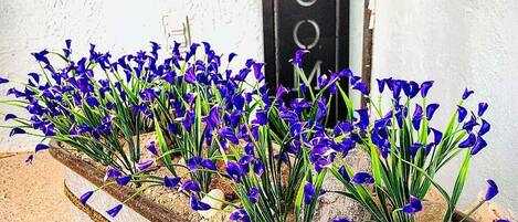 Detalle del exterior