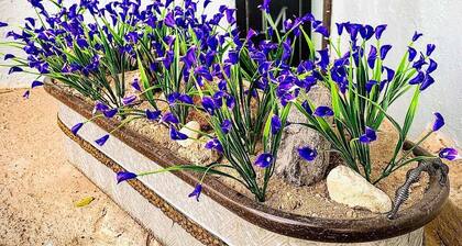 1 Bed 1 Bath Craven Cottage at Hillside with Wifi, AC & 4K Smart TV