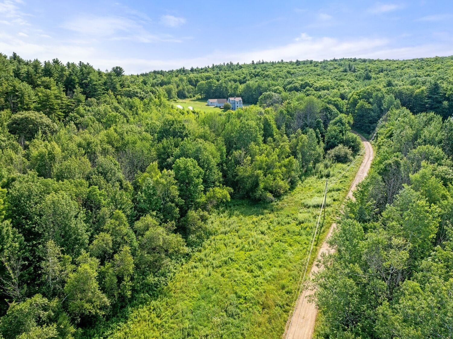 Ländliche Landschaft mit einer Feldstraße, die zu einem Haus inmitten dicht bewachsenen Waldes führt.