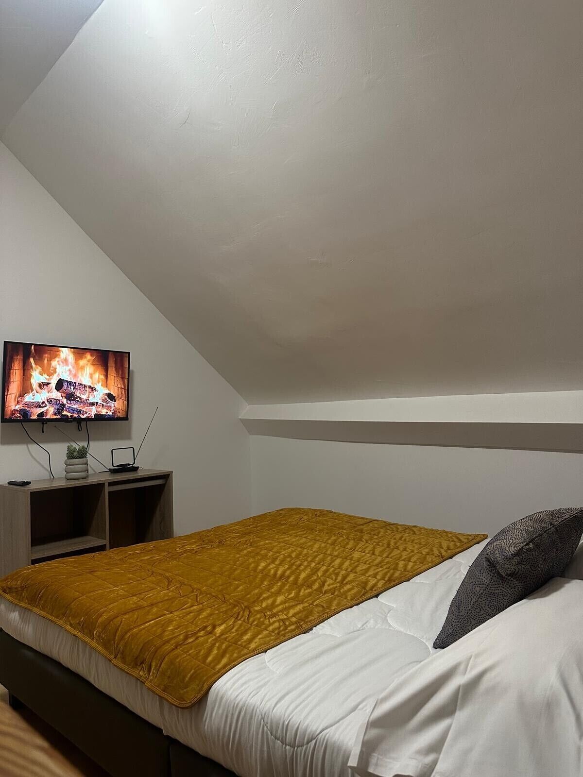Un dormitorio con cama, televisor montado en la pared y una pequeña mesa de trabajo con planta y lámpara.