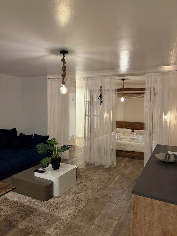 1 bedroom, WiFi, bed sheets - IBIZA AND SPA (Agde)