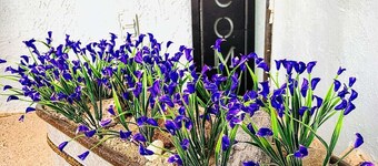 Craven Cottage Studio at Hillside with Wifi, AC & 4K Smart TV