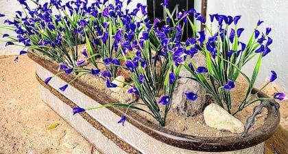 Craven Cottage Studio at Hillside with Wifi, AC & 4K Smart TV