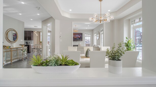 A modern living room with a white sofa, a coffee table with plants, and a chandelier.