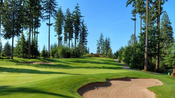 Un parcours de golf avec un bunker de sable, de l’herbe verte et de grands arbres.
