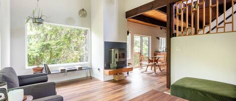 Fireplace, books, music library, stereo
