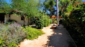 Un sendero de jardín con diversas plantas y árboles, que conduce a un edificio de fachada blanca.