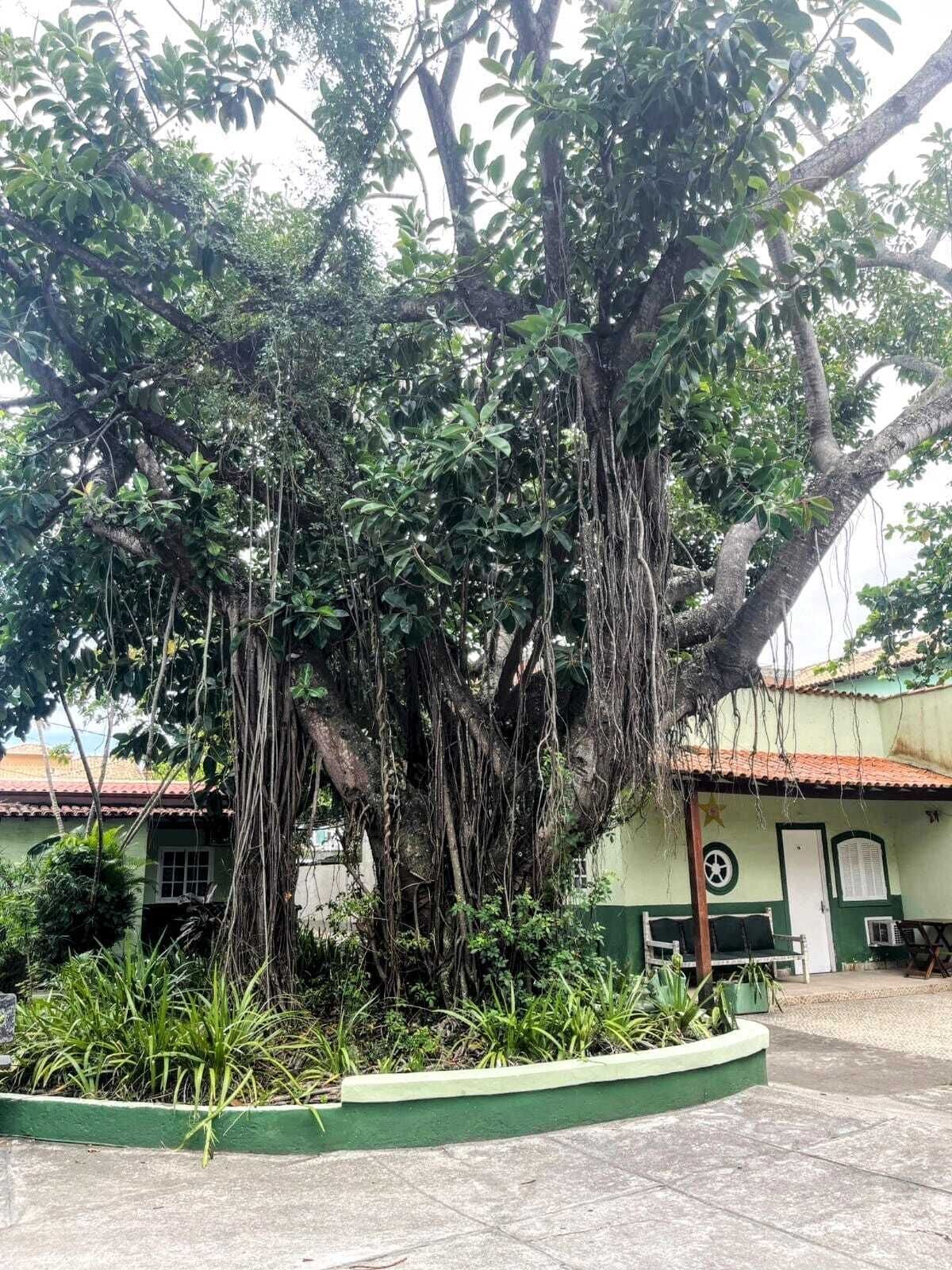 Foto - Pousada Recanto Shangri-la