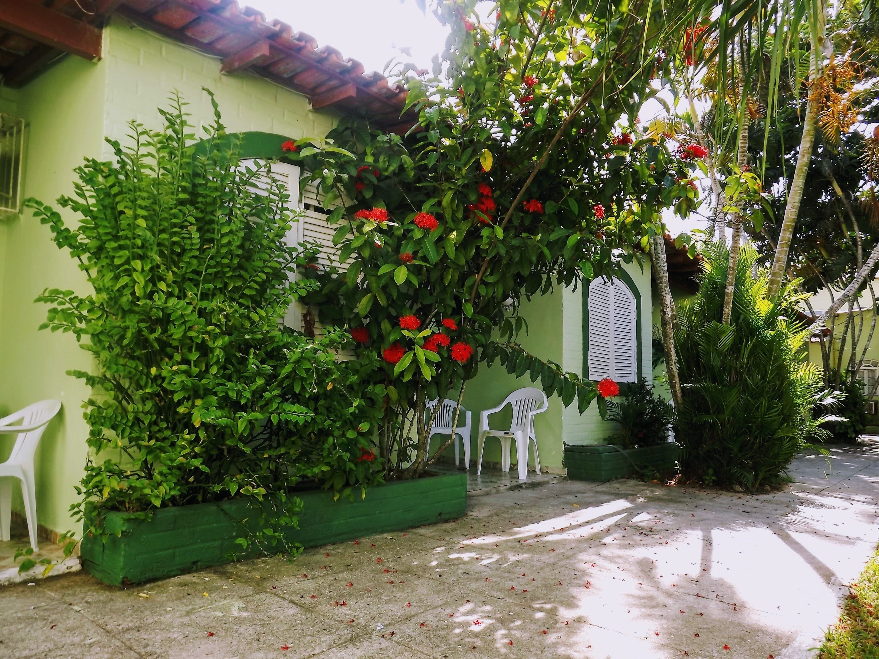 A courtyard with a green wall, white chairs, and a potted plant with red flowers.