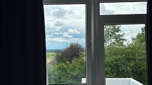 A room with a view of a green landscape through a window, a radiator, and a white wall.