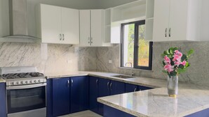 Une cuisine moderne avec des meubles blancs, un îlot central bleu, une cuisinière à gaz et un four en acier inoxydable.