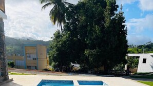 Une piscine rectangulaire dont le bord est recouvert de carreaux, entourée d’une zone dallée.
