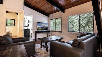 Smart TV y chimenea