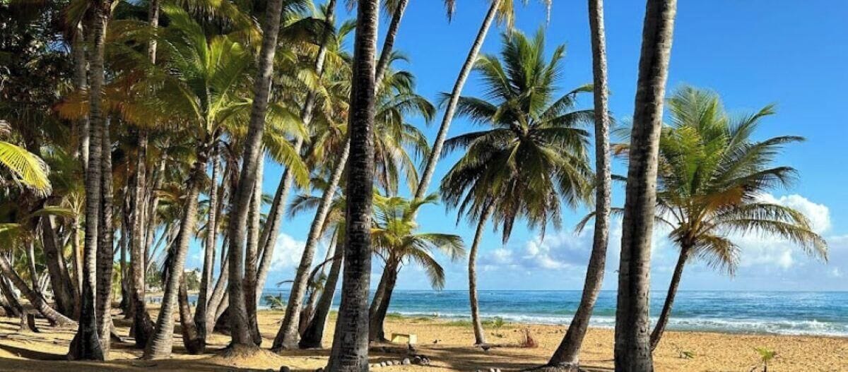 Beach nearby, sun loungers, beach towels