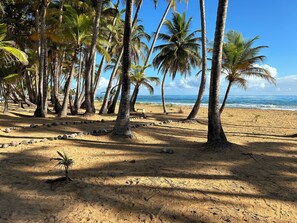 Beach nearby, sun-loungers, beach towels