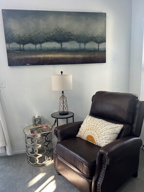 Smart TV, fireplace, books