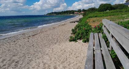 Holiday joy by the beach and Haderslevs gems