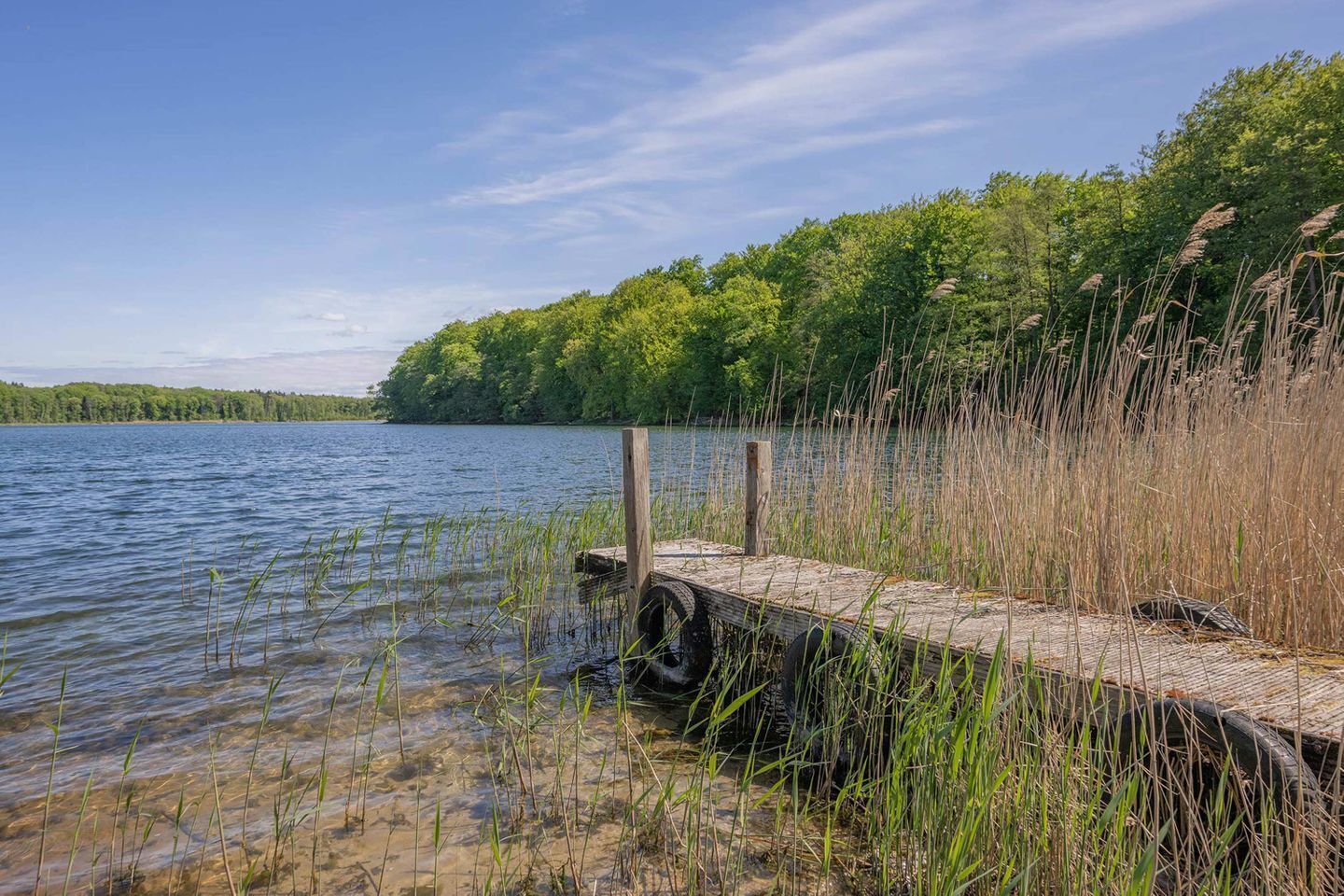 A wooden dock extending into a calm lake, surrounded by dense greenery and trees.