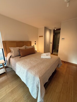 1 chambre, fer et planche à repasser, Wi-Fi, draps fournis