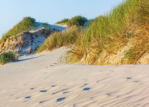 House | View from property - Holiday Home Near Dutch Beach and Dunes (Sint Maartensvlotbrug)