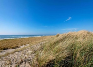 House | View from property - Holiday Home Near Dutch Beach and Dunes (Sint Maartensvlotbrug)