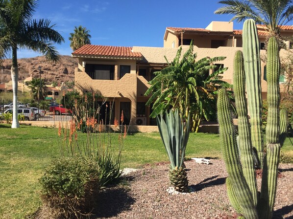 A building with a tiled roof and stucco walls, surrounded by cacti and palm trees.