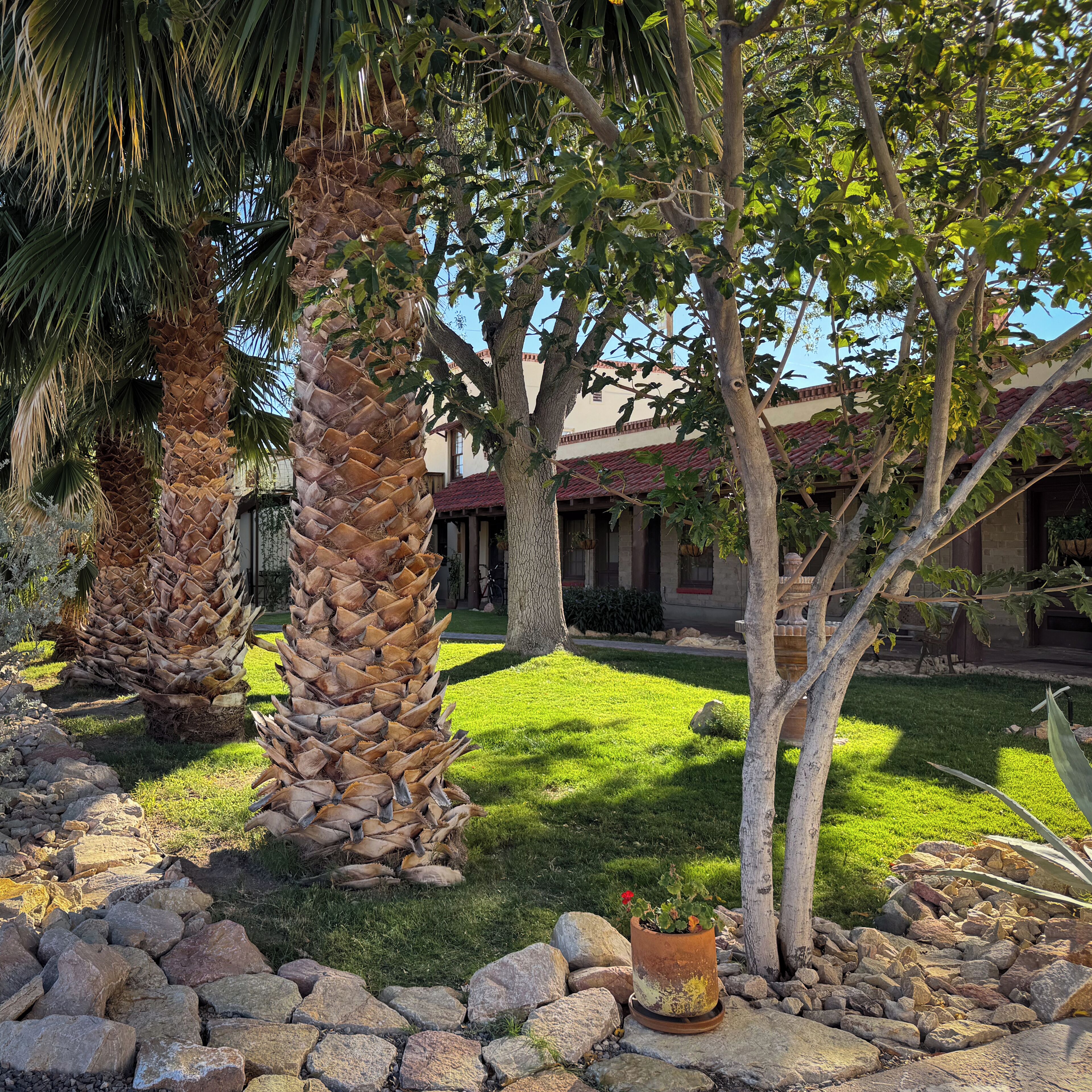 A garden with palm trees, a stone pathway, and a building with a red-tiled roof.