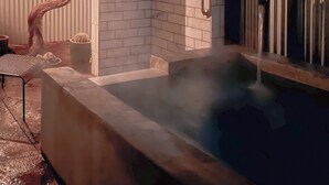 Un área de spa con un jacuzzi, ducha y zona de estar.