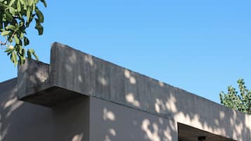Detalle exterior